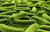 Germ theory_tiny